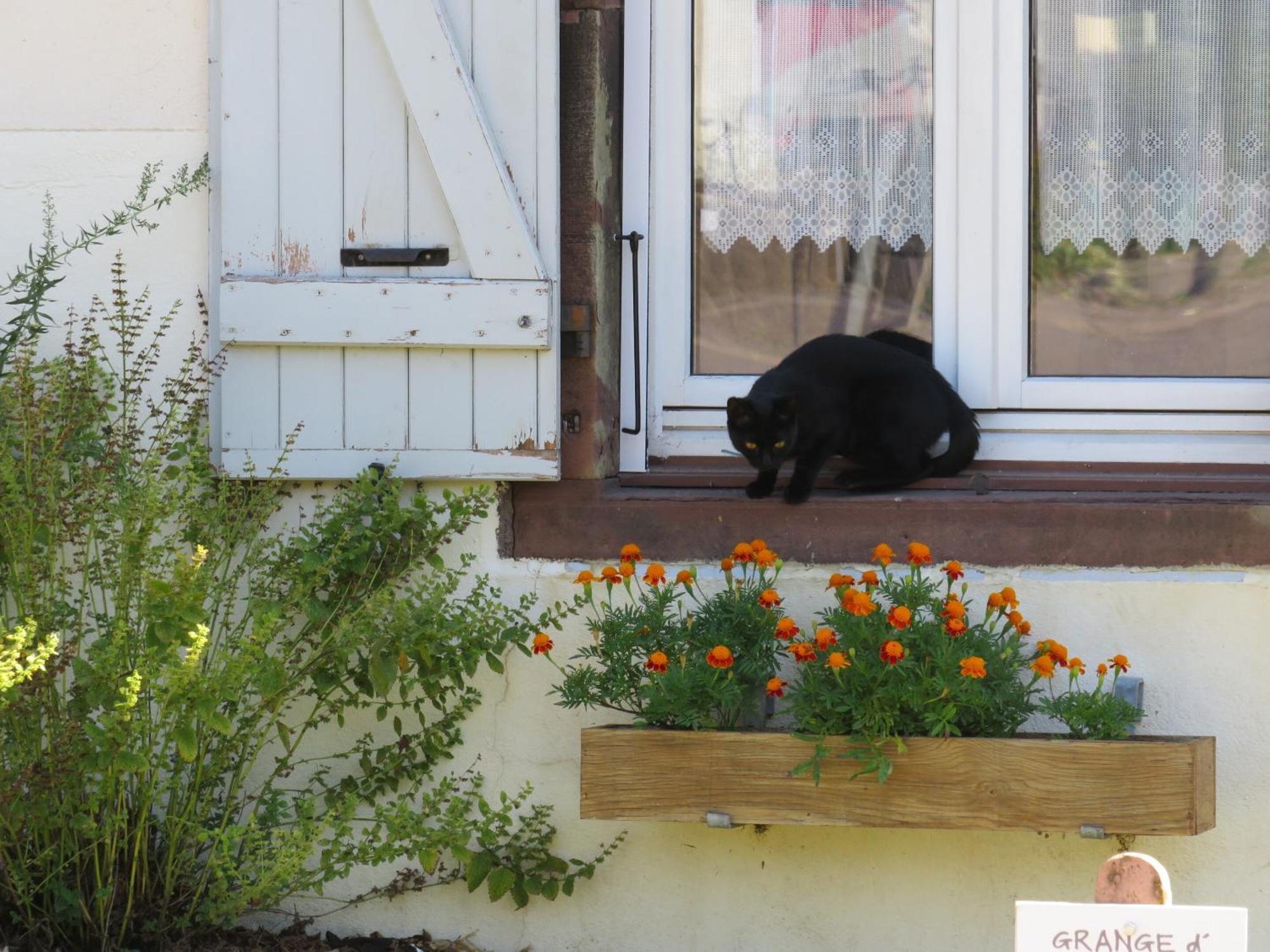 Grange D'Anjeux Bed & Breakfast Eksteriør bilde